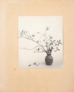 Lang Jingshan - Still Life