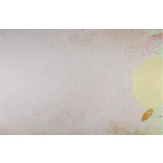 Larry Poons - Express Train