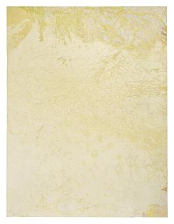 Larry Poons - Minnesota Ripple, 1970
