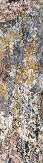 Larry Poons - My Side