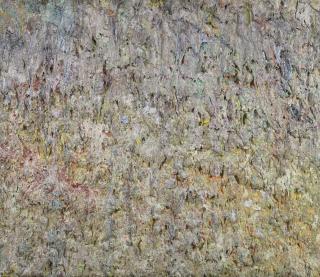 Larry Poons - Opposite Opinion