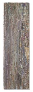 Larry Poons - Untitled (78C-4)
