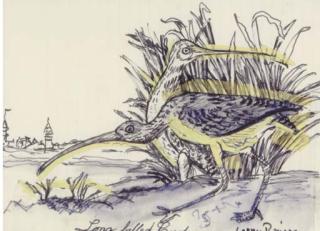 Larry Rivers - Long Billed Curfew