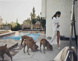 Larry Sultan - Boxers, Mission Hills, 1999