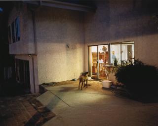 Larry Sultan - From The Valley