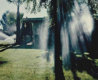 Larry Sultan - Untitled, 1988