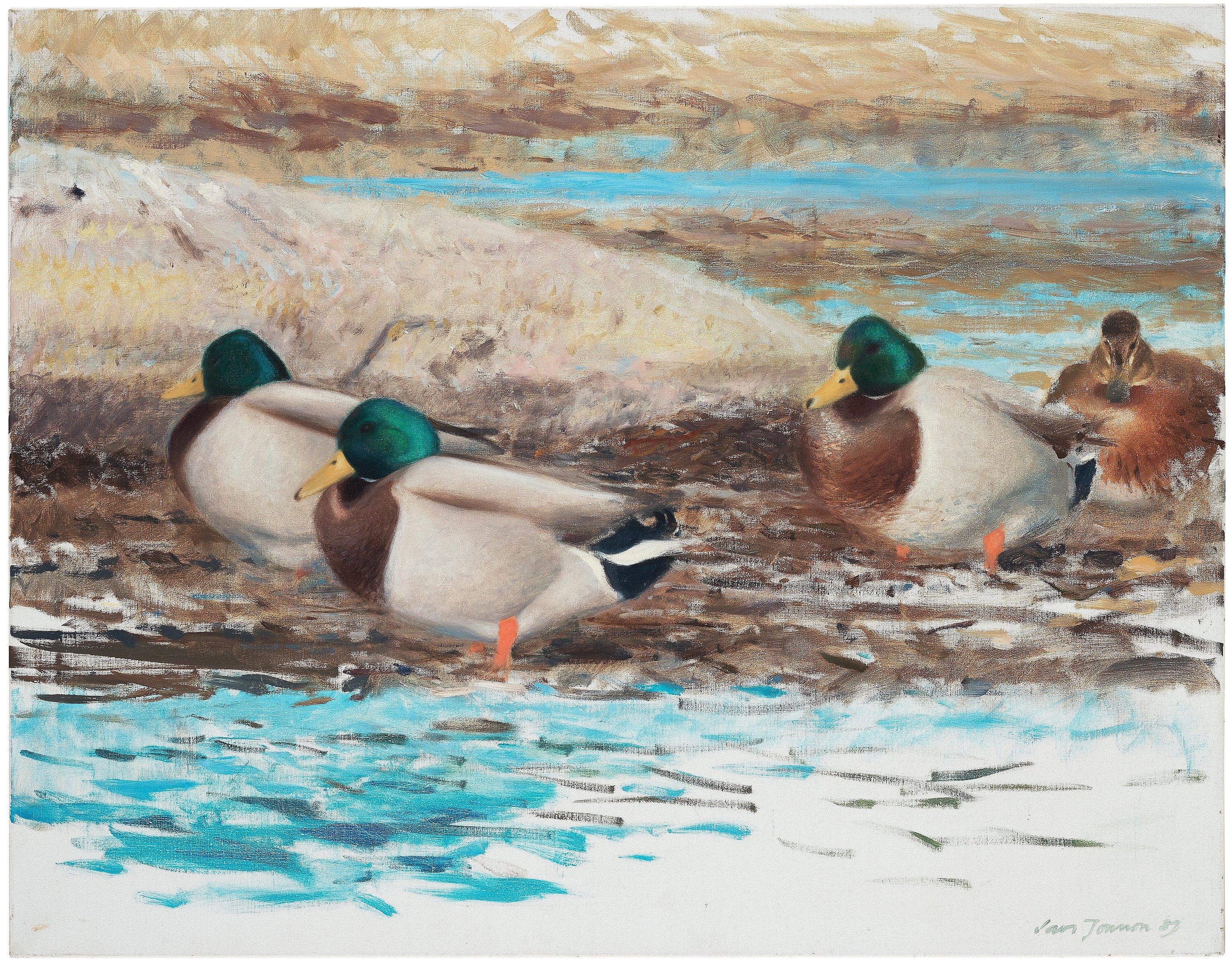 Lars Jonsson - Mallards