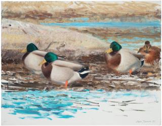 Lars Jonsson - Mallards