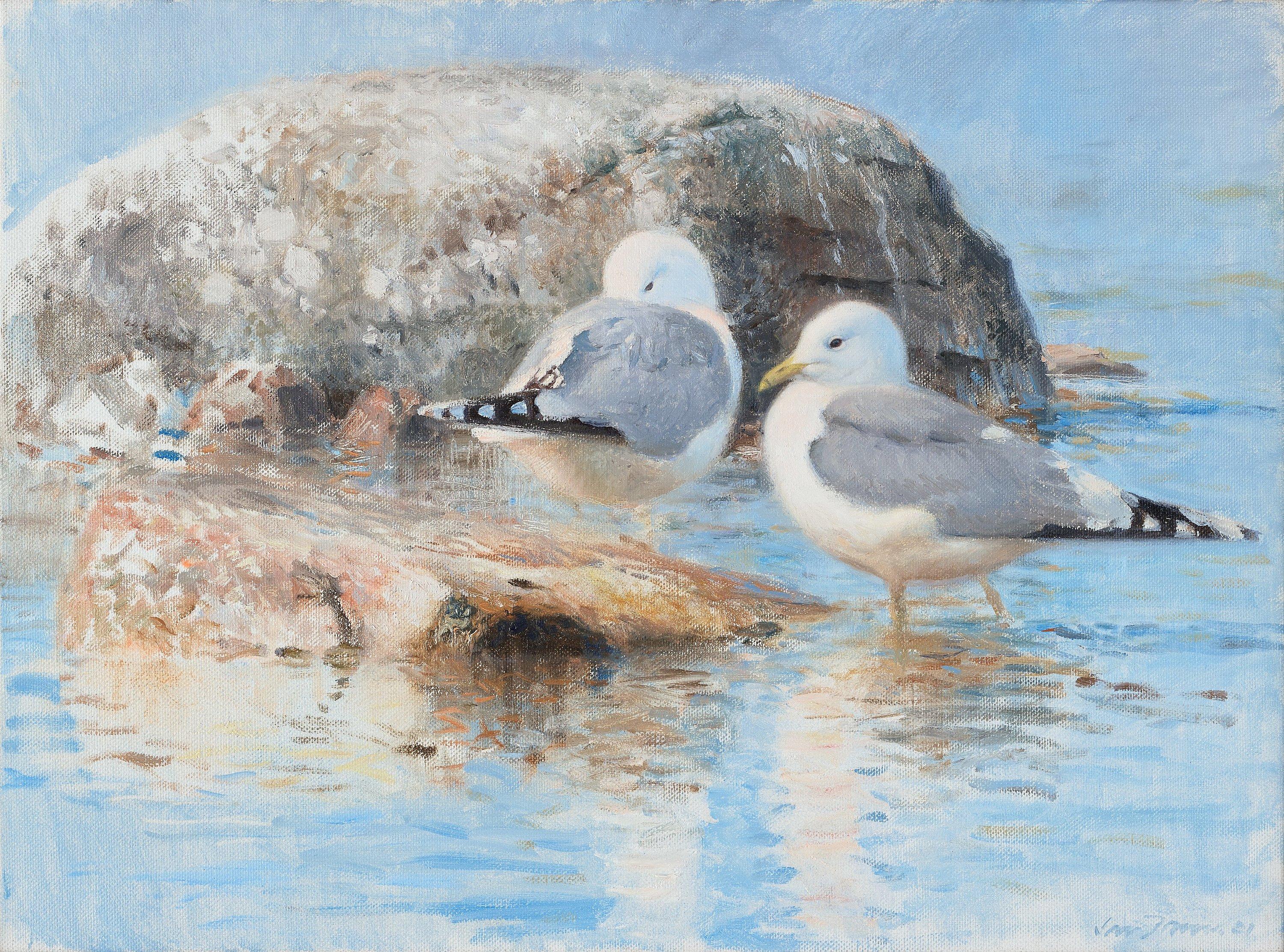 Lars Jonsson - Seagulls