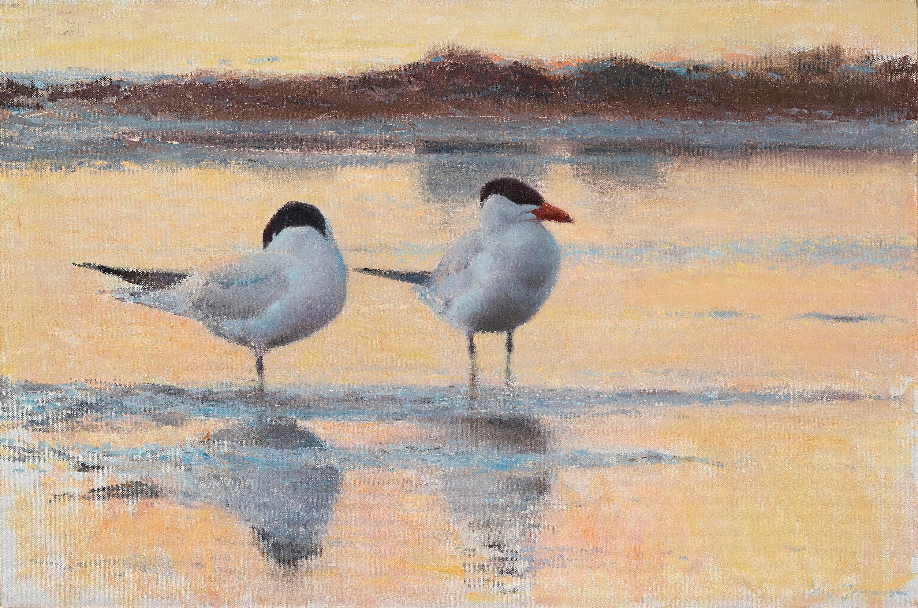 Lars Jonsson - Wading terns