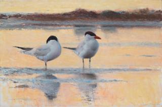 Lars Jonsson - Wading terns