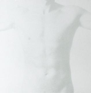 Lars Nilsson - Torso