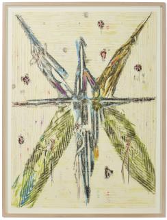 Lars Van Dooren - Butterflies and Anabaptists