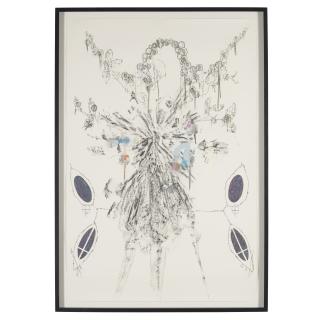 Lars Van Dooren - Sedna