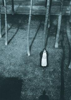 László Moholy-Nagy - 3 Bll. : Verschiedene Motive