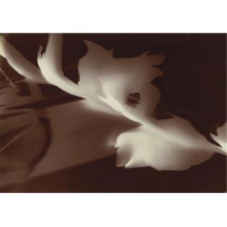 László Moholy-Nagy - Photogram