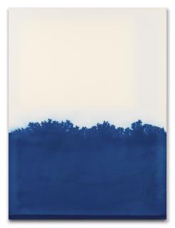 Latifa Echakhch - And Then The Moon Appears Between The Branches. Thought Deeply It Will Be The Last Landscape, But After A Cloud, All Turns Upside Down.