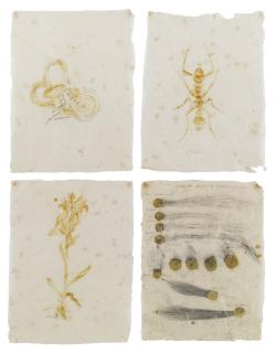 Laura Anderson Barbata - Lectura Del Nuevo Evangelio