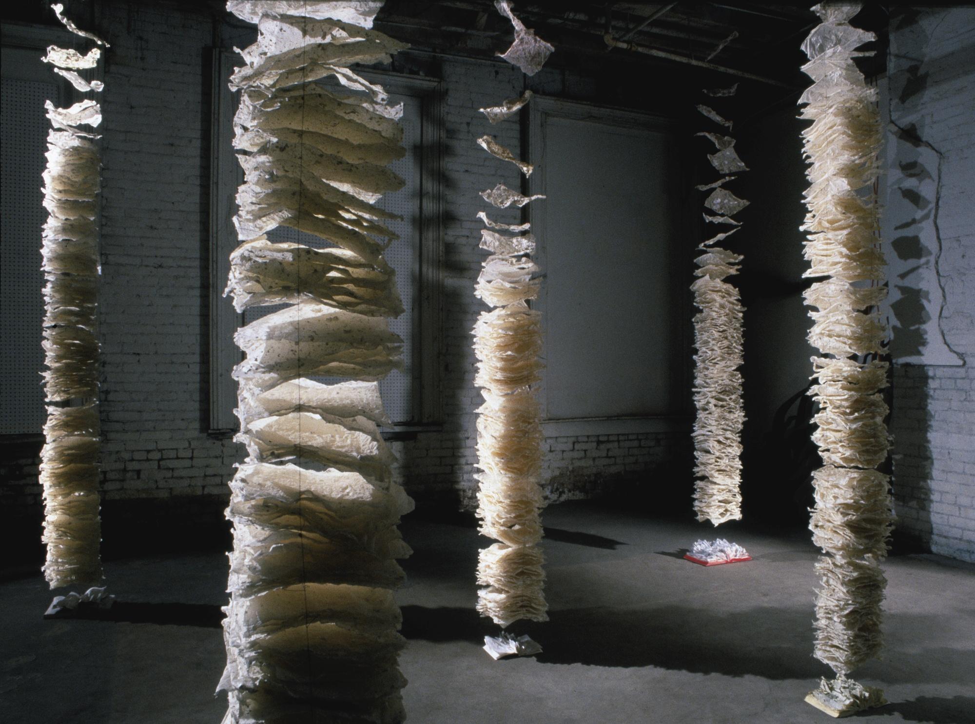 Laura Anderson Barbata - ¿Qué Tiene Que Ver La Piel, El Palo, La Pluma, La Madera, Con El Jaguar, Brujo, Mago Y Sabio?