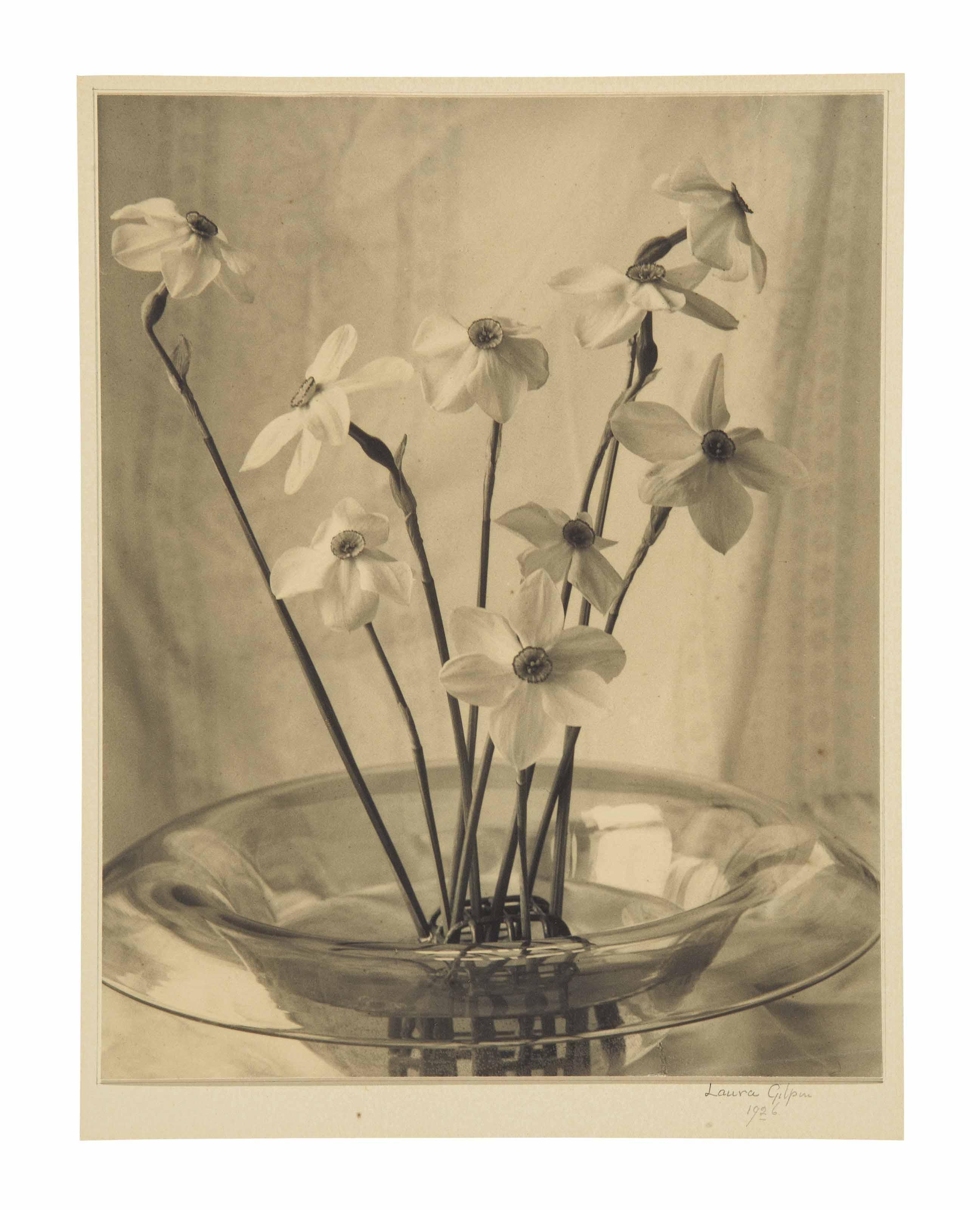 Laura Gilpin - Narcissus, 1926