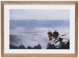 Laura Weinstein - Nagarkot, 2014