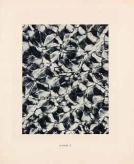 Laure Albin-Guillot - Micrographie décorative, Planche I, 1931