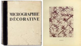 Laure Albin-Guillot - Micrographie décorative