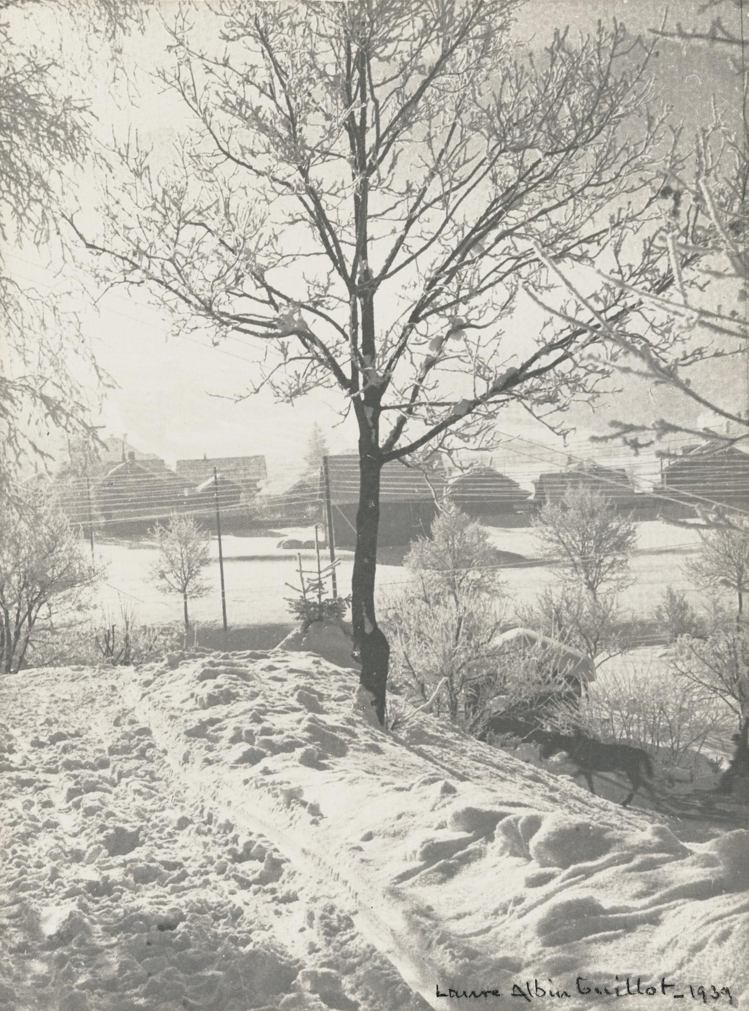 Laure Albin-Guillot - Paysage Enneigé, 1939Vintage Platinum Print. Signed And Dated In Pencil At Lower Right. Flush-Mounted To Original Card. Mounted.