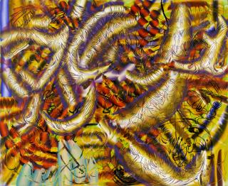 Lauren Quin - Palms for Skimmers