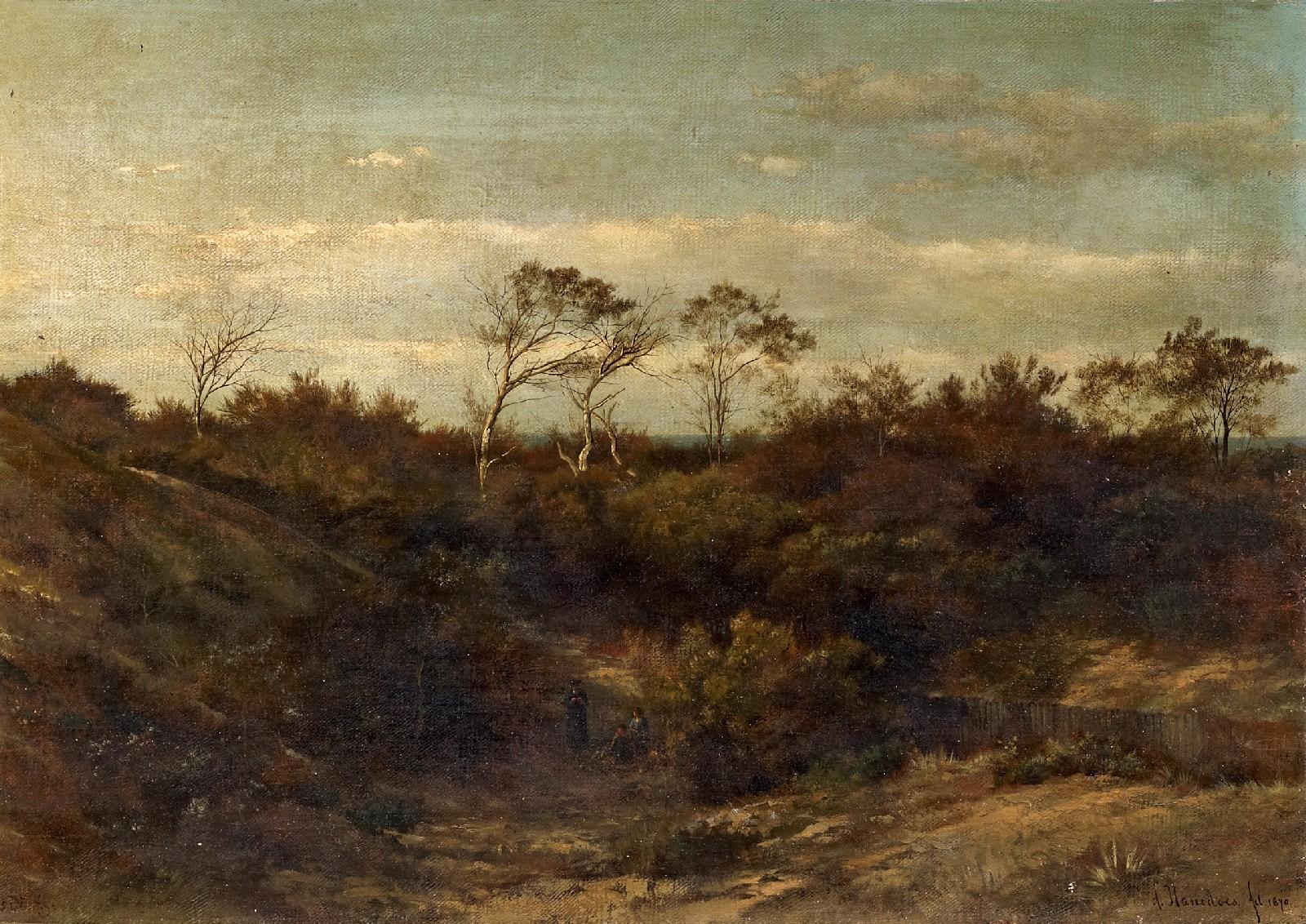 Laurens Hanedoes - In den Dünen