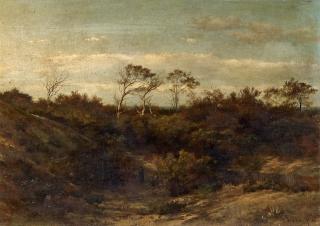 Laurens Hanedoes - In den Dünen