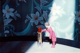 Laurie Simmons - \