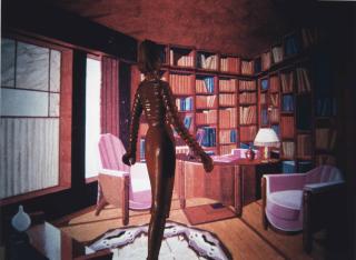 Laurie Simmons - Red Library II