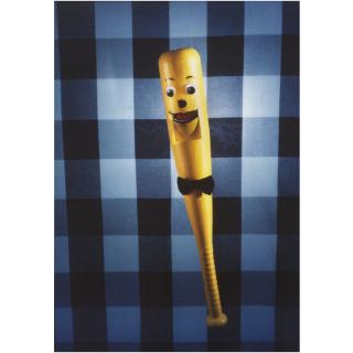 Laurie Simmons - Talking Baseball Bat