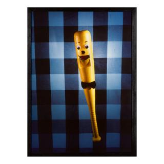 Laurie Simmons - Talking Baseball Bat