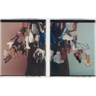 Laurie Simmons - Tree With Clothes Ornaments Diptych, From The Education Project