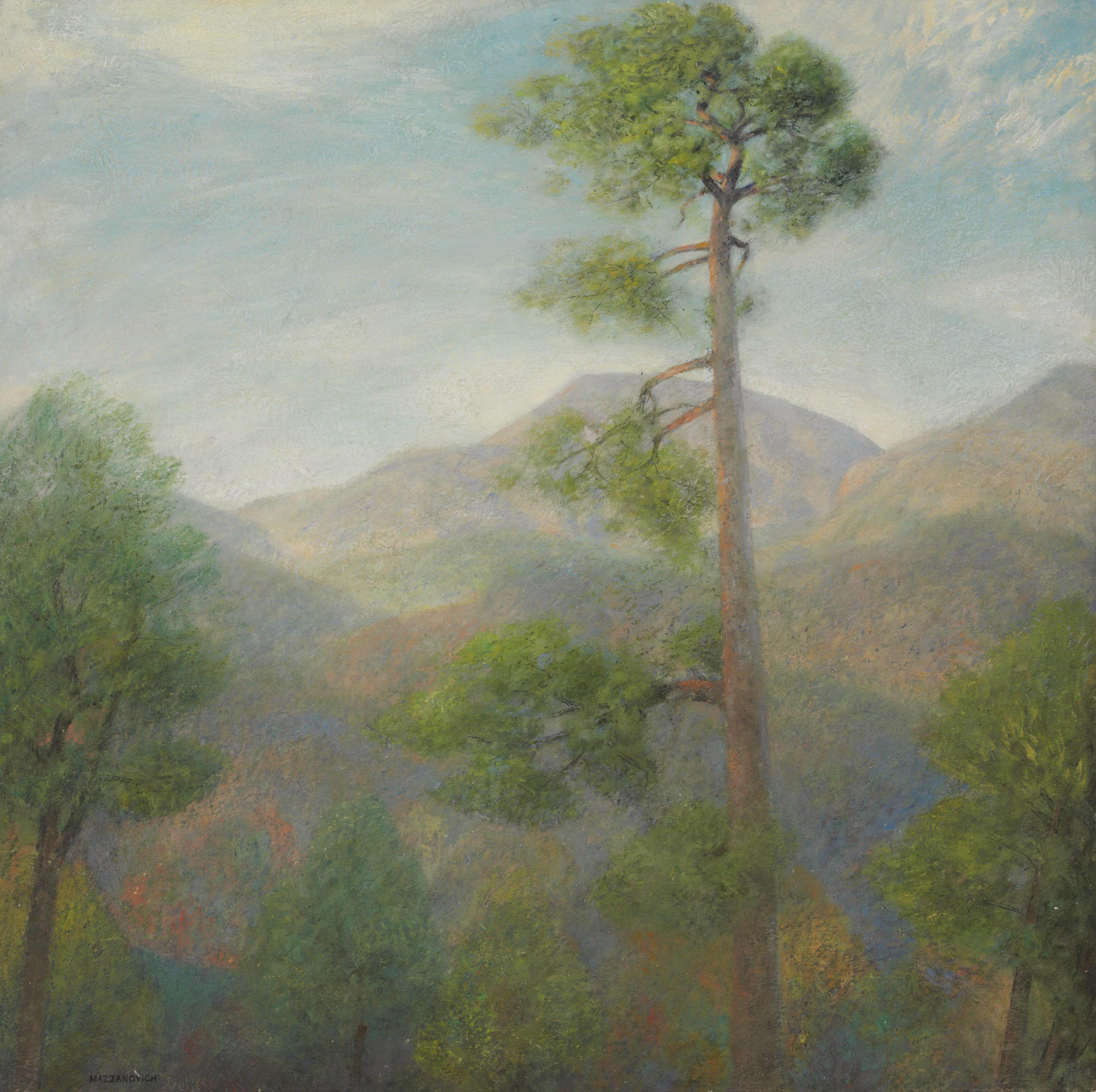 Lawrence Mazzanovich - North Carolina Hills