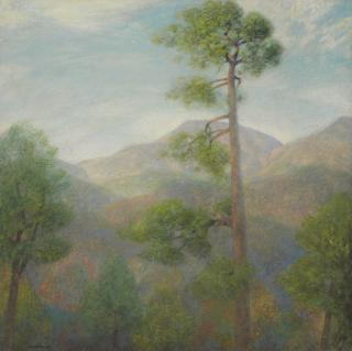 Lawrence Mazzanovich - North Carolina Hills