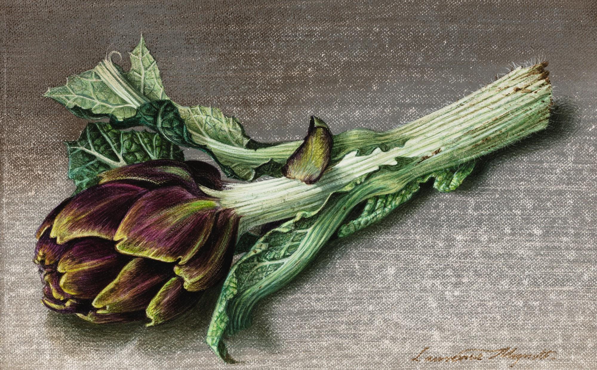 Lawrence Mynott - Artichaut