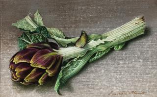 Lawrence Mynott - Artichaut