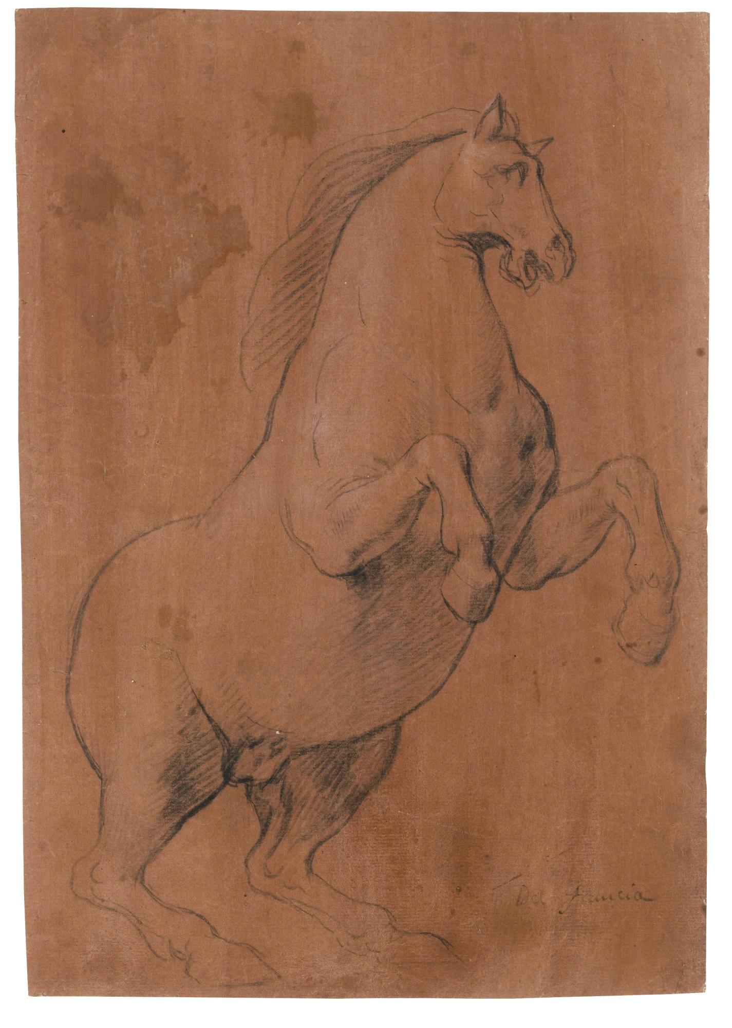 Lazzaro Tavarone - Study Of A Rearing Horse