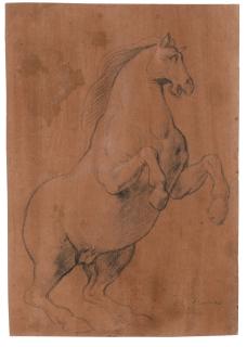 Lazzaro Tavarone - Study Of A Rearing Horse