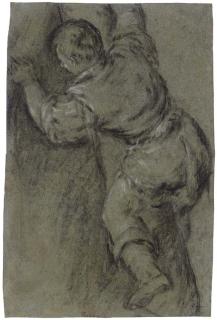 Leandro Dal Ponte - A young boy climbing a tree