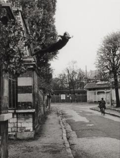 Leap Into The Void (5, Rue Gentil-Bernard, Fontenay-Aux-Roses, October 1960) (Artistic Action By Yves Klein - Collaboration With Harry Shunk And János Kender)