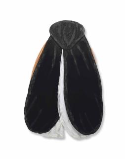 Leda Catunda - Mosca preta