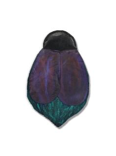 Leda Catunda - Mosca