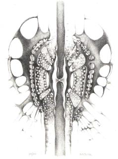 Lee Bontecou - [Untitled], From Brooklyn College Lithographs