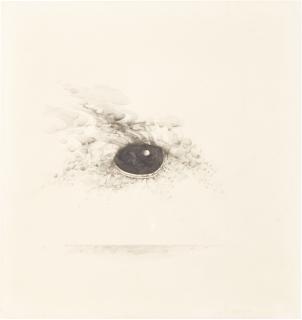 Lee Bontecou - Untitled