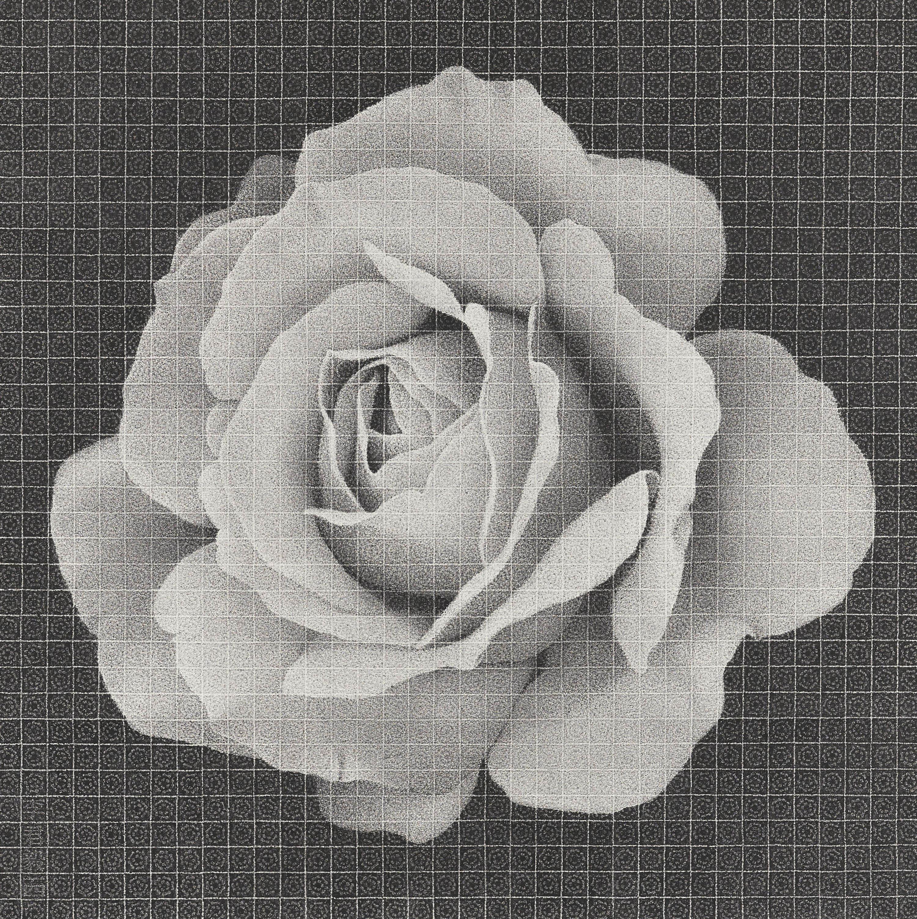 Lee Chun-Yi - One Flower One World