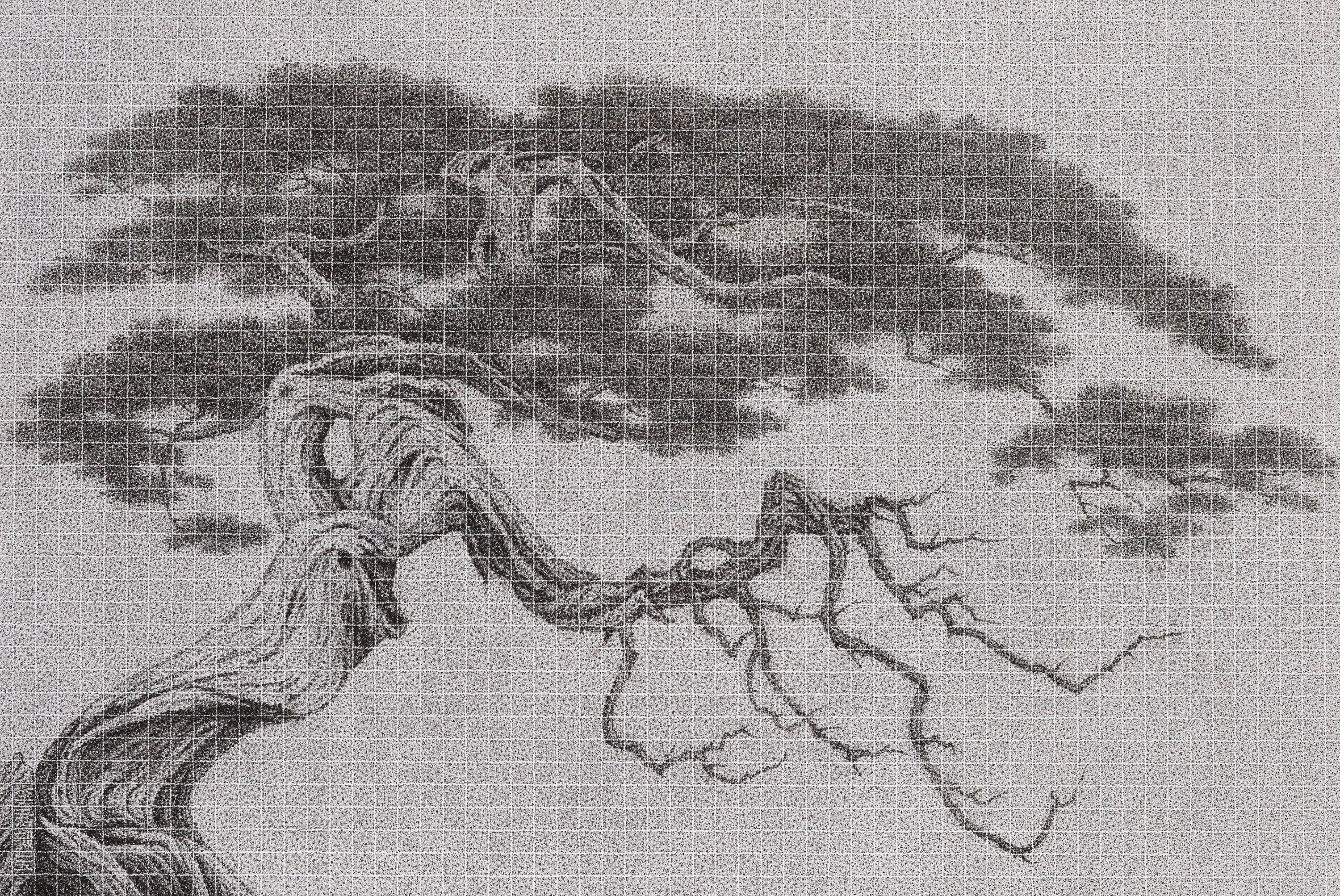 Lee Chun-Yi - Same Root